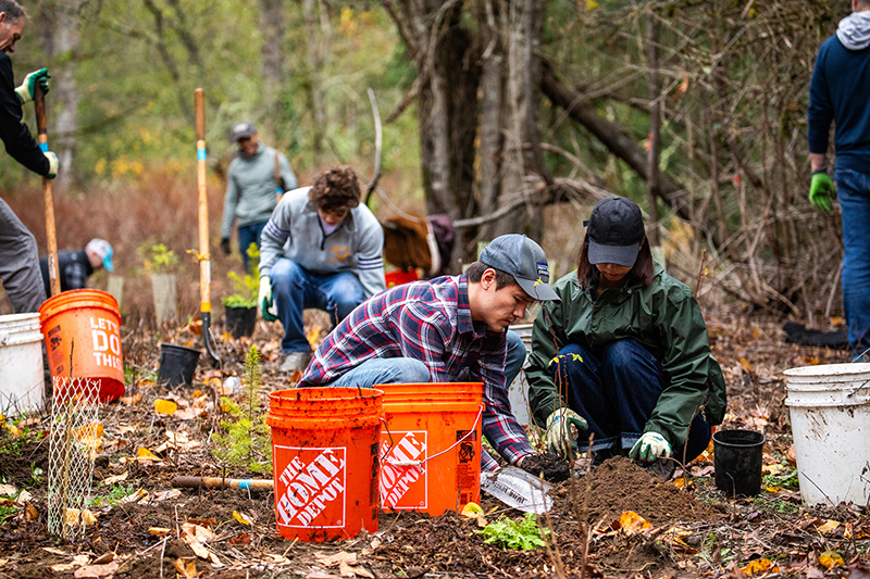 Community members and Port staff participate in a community planting event.